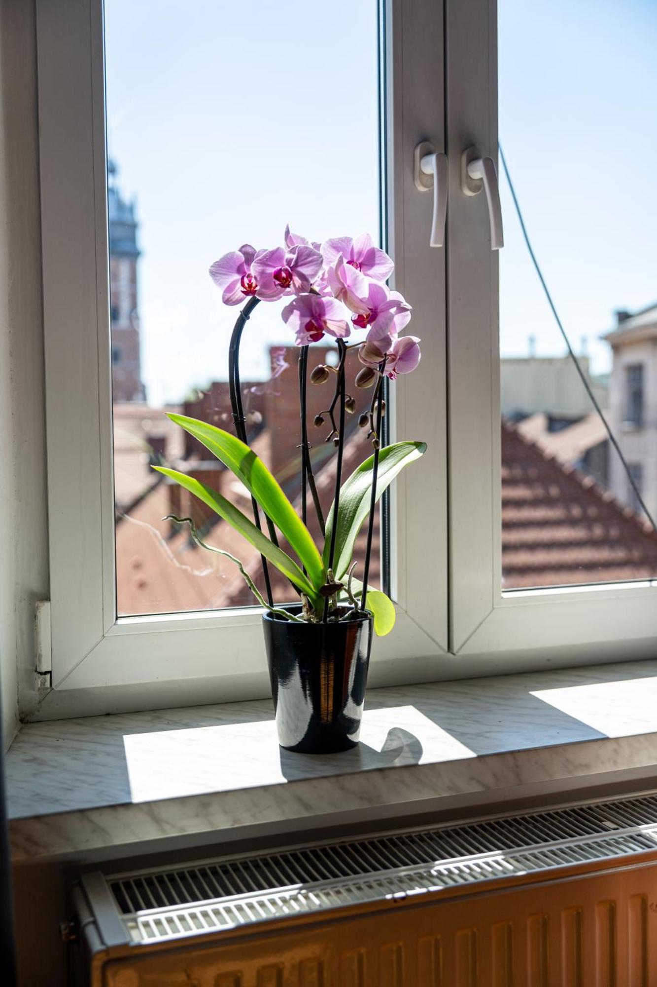 Vista View Apartment คราคูฟ ภายนอก รูปภาพ